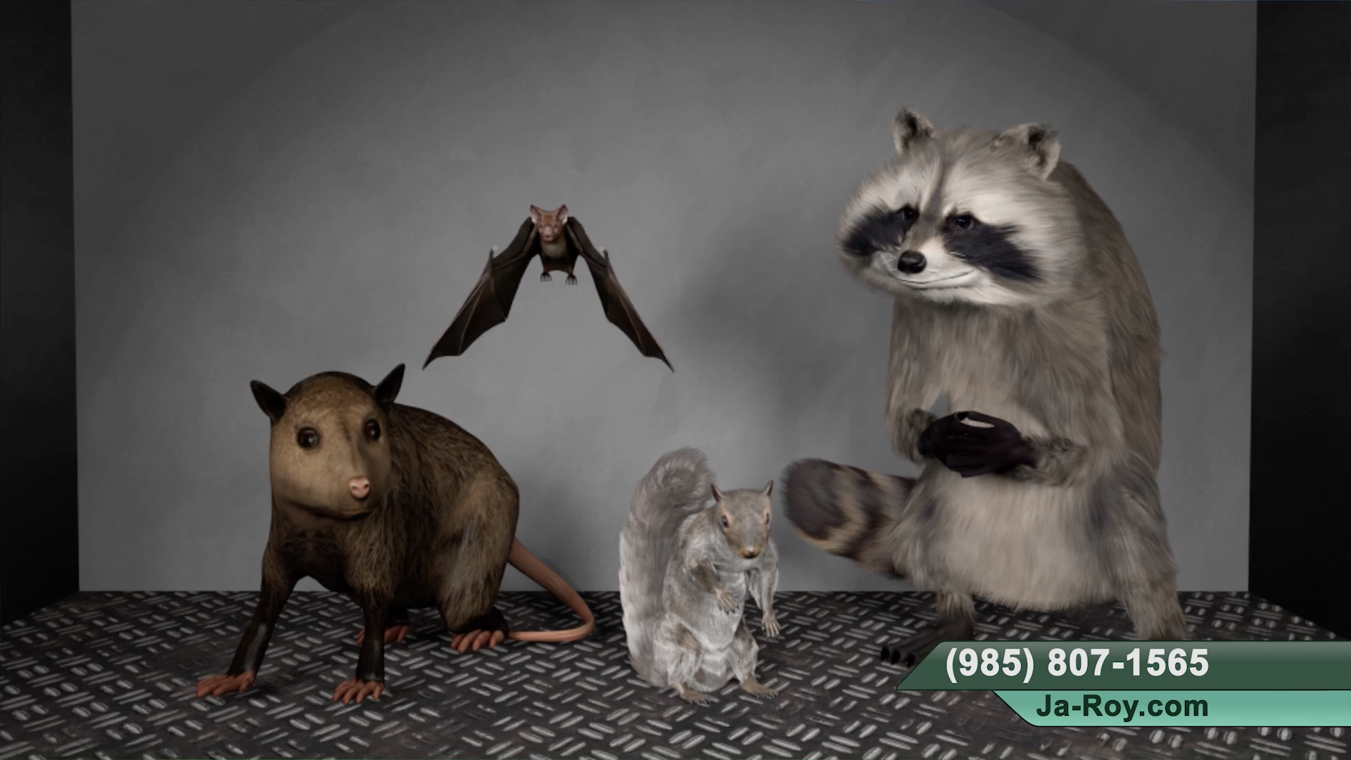 Video Production New Orleans Image Video Solutions